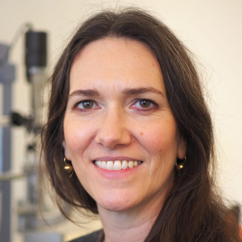 Dr. med. Stefanie E. Krohne